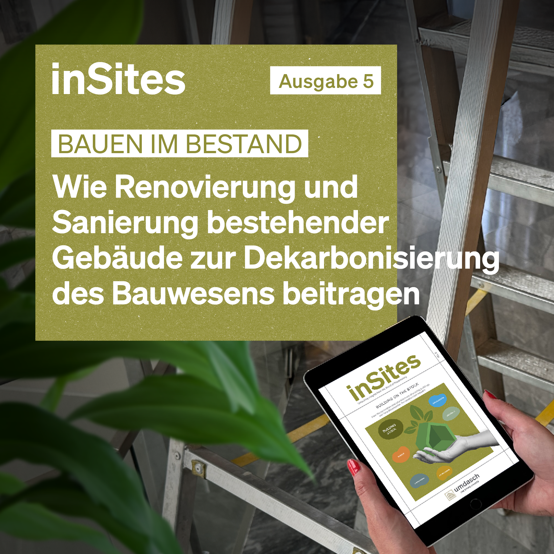 In Sites 05 Online Bewerbung 1080x1080px Website2