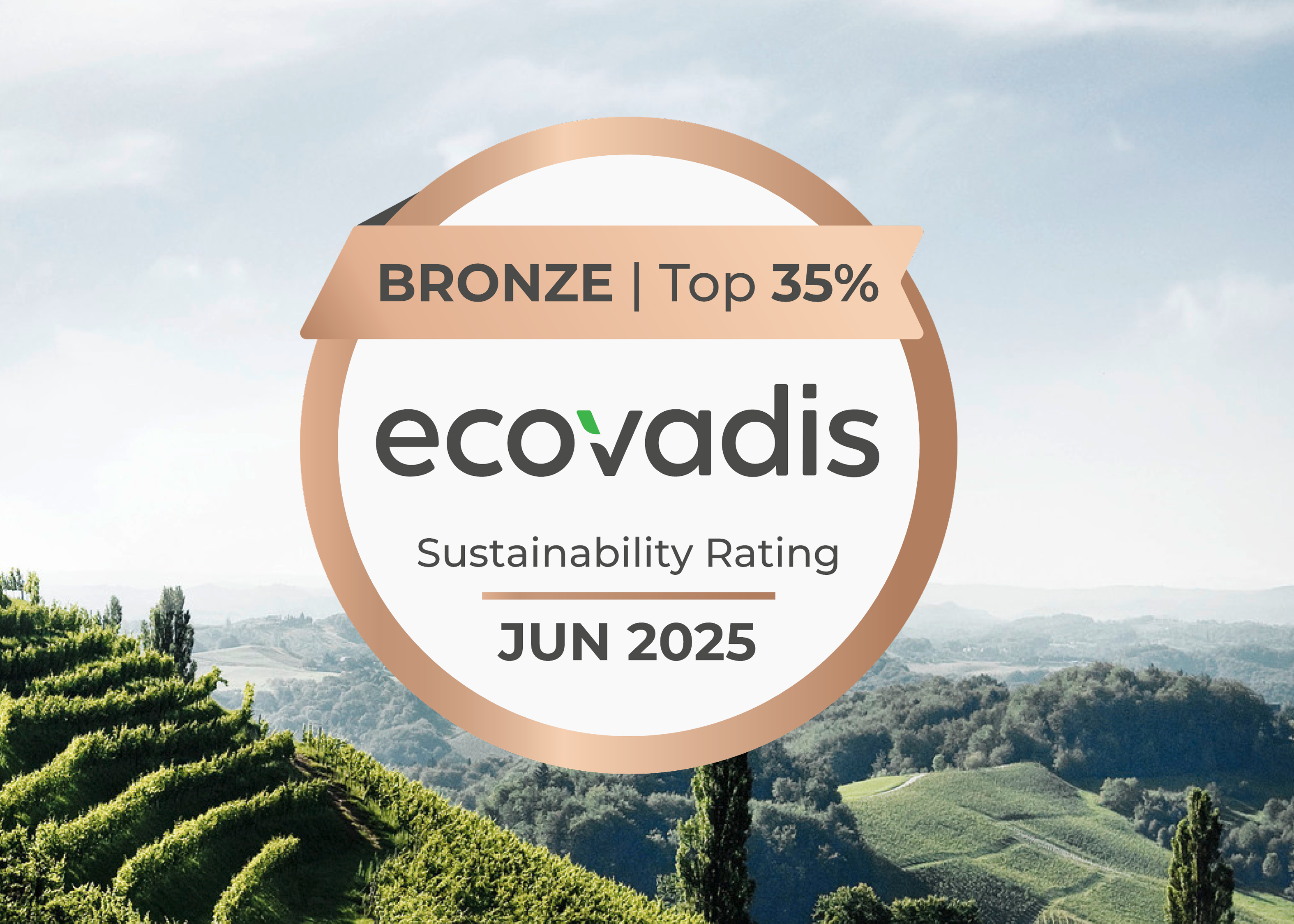 EcoVadis 2025 umdasch Store Makers