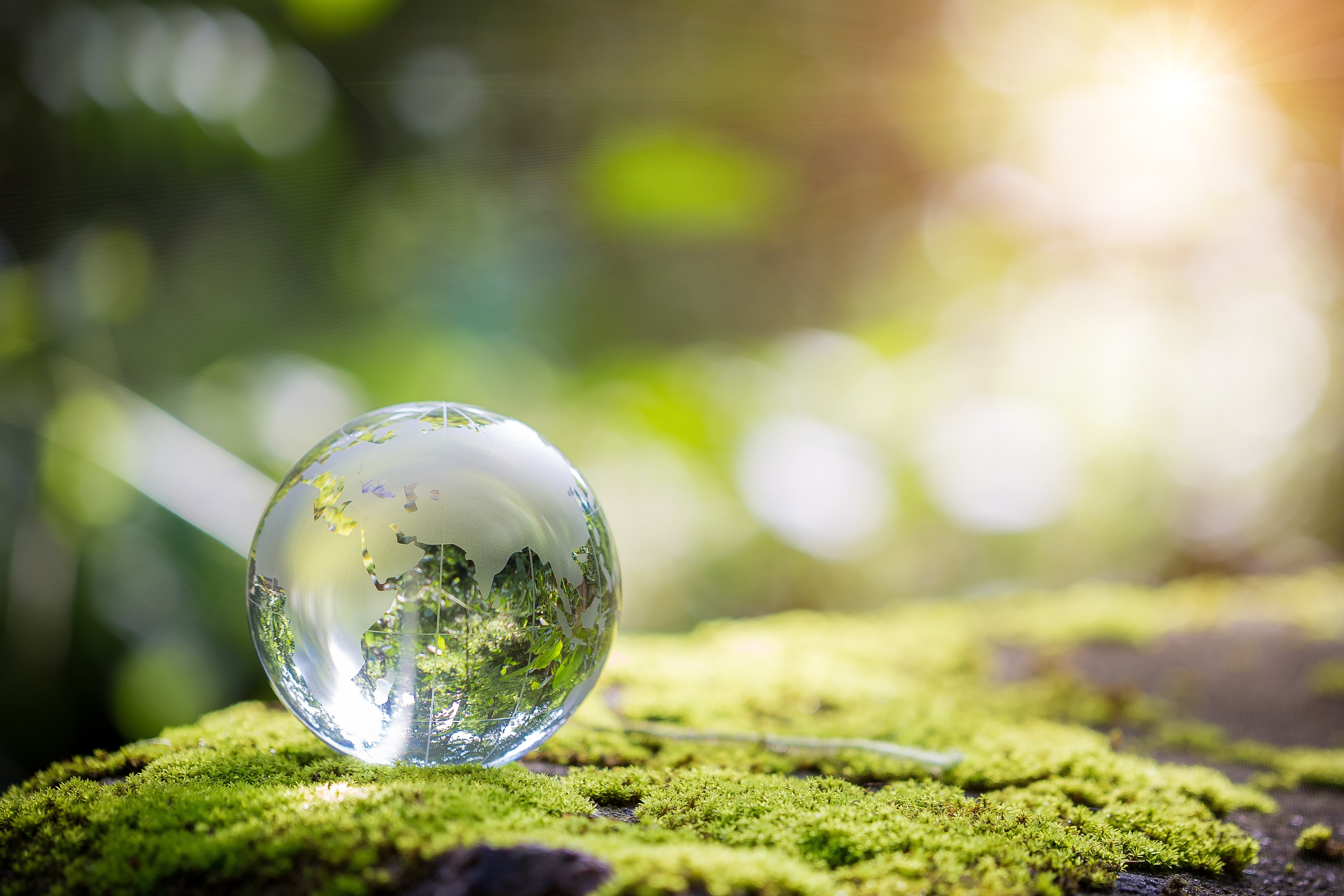 UN Global Compact im Ladenbau | umdasch The Store Makers