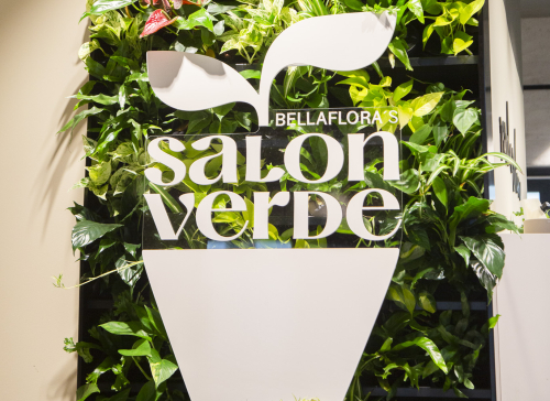 Salon Verde