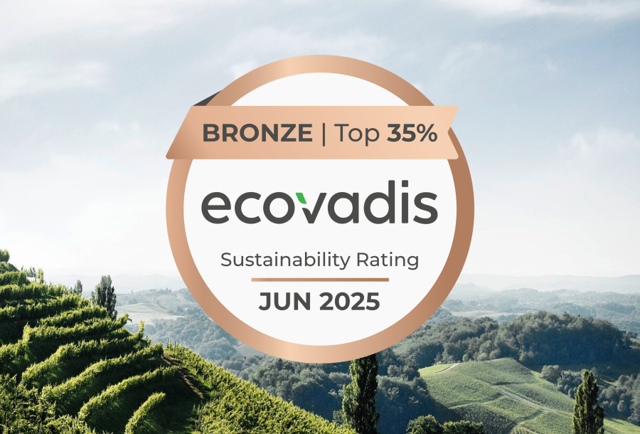 EcoVadis Bronze 2025 umdasch The Store Makers EcoVadis Bronze 2025 umdasch The Store Makers