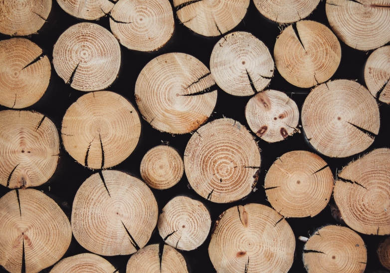 Sustainable forestry