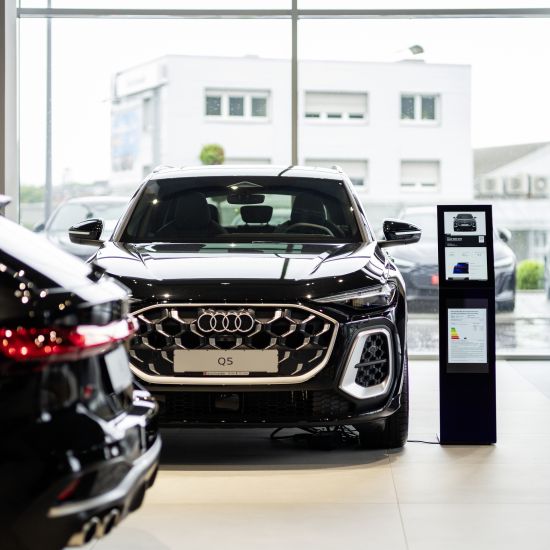 Audi Stelen
