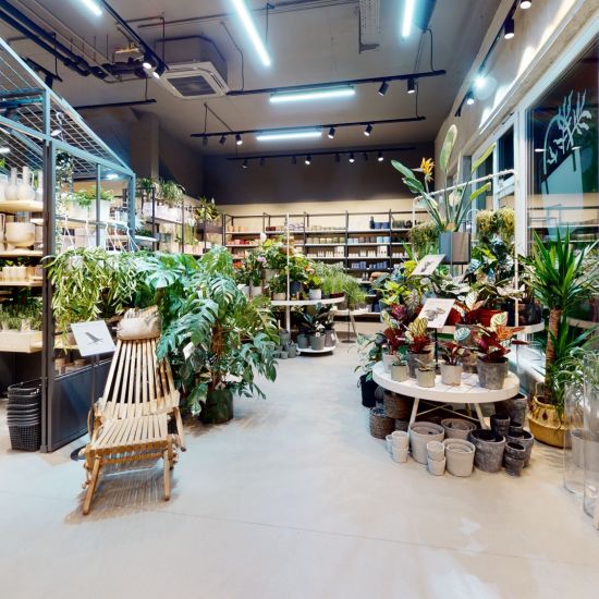 Salon Verde