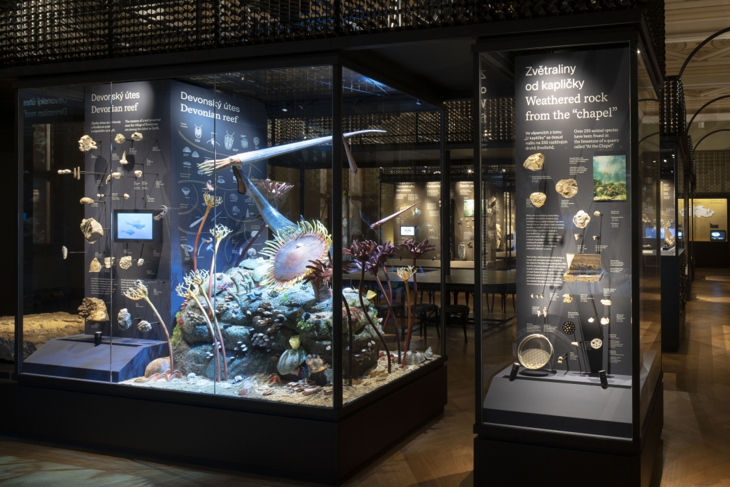 Czech National Museum - Windows into Prehistory