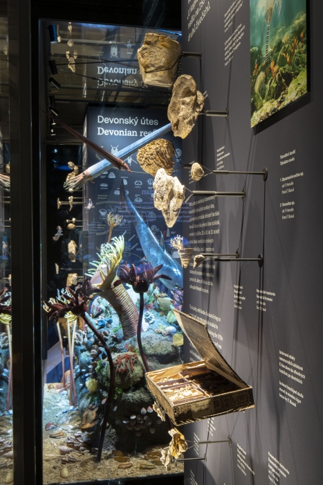 Czech National Museum - Windows into Prehistory