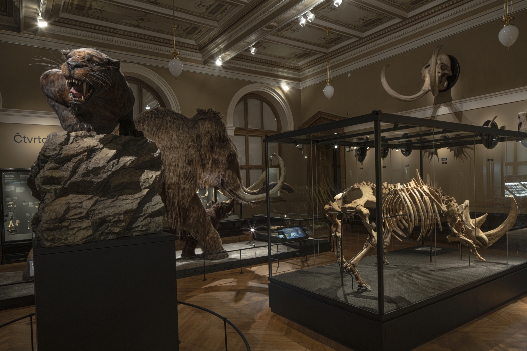 Czech National Museum - Windows into Prehistory