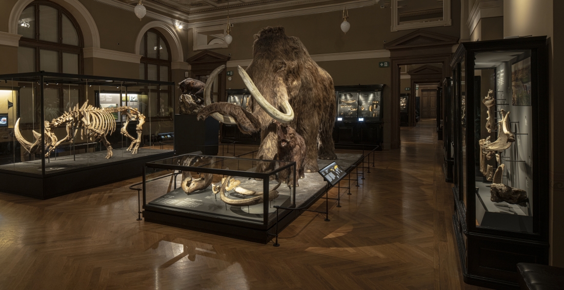 Czech National Museum - Windows into Prehistory